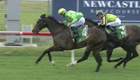 Two Stable Runners To Compete At Newcastle On Saturday