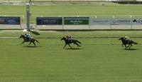 Buckin' Rippa Puts In A Solid Performance To Run 2nd
