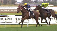 Oakfield Twilight Finishes 2nd At Rosehill On Saturday