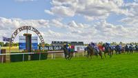 The Lane Stable Supports Racing At Dubbo On Sunday