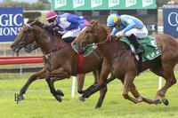 Thiswilldous To Compete At Dubbo On Sunday For The In Form Lane Yard