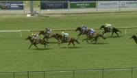Buckin Beauty Puts In A Great Effort At Newcastle To Finish 2nd