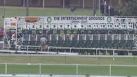 The Stable Takes A Couple To Gosford On Wednesday