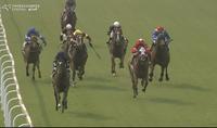 Thiswilldous Runs A Solid Third After Race 5 At Gosford