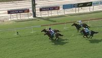 Dreams Out West Puts In A Solid Performance To Arrive As The Runner Up At Port