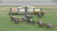Great Excitement Runs Into Third At Taree