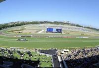 The Lane Yard To Compete With Runners On The Kenso On Saturday