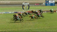 Scatter Blast Takes Out The 5th At Tamworth In Great Fashion
