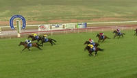 Poetic Harmony Finishes 3rd When Resuming Under Jake Hull