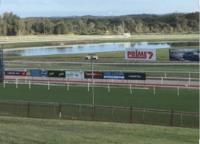 The Lane Yard To Compete With Miss Sleuth At Port On Saturday