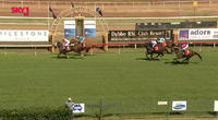 Captain's Legend Finishes 3rd After The Third At Dubbo