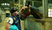 Sky Interview With Damien Lane Who Accepts In Saturday's Provincial Championships