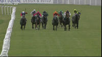 Oakfield Poet arrives in third under Chad Lever after the opener at Hawkesbury