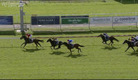Obscene Runs a tidy third under Digger at Newcastle
