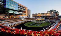 Damien Lane Heads To Randwick With A Couple Of Oakfields On Saturday.