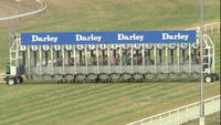Qin Yong & Darryl Mclellan Will Pilot For The Lane Yard On Tuesday At Scone