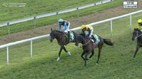 Fearless Mila Continues To Race Competitively After Running 2nd At Tamworth Under Qin Yong