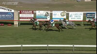She’s No Princess Finishes A Handy 3rd First Time Out For The Lane Yard.