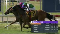 Zorocat Takes Out The 3rd At Newcastle Under Digger