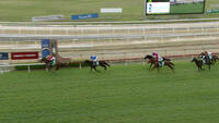 Dunlee Resumes With A Tidy Effort Resuming From A Spell.