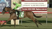Oakfield Target Scorches Down The Tuncurry Course To Take Out The 6th On The Card.