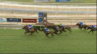 Just Field Looking To Add To A Last Start Win When Competing At Canterbury On Wednesday