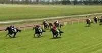 Superstasia wins at Gunnedah