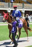 Snowdrop Impresses on Debut