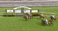 Pirate Ben wins the Summer Cup