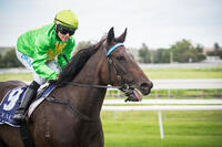 Oakfield Double at Muswellbrook