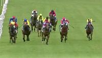 Too Good to be Tru Wins at Taree