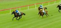 Zastarisborn Breaks the Maiden