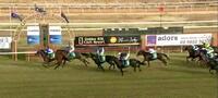 Double in Dubbo