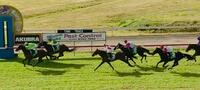 Oakfield Target wins at Kempsey