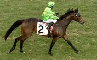 Oakfield Prince races away
