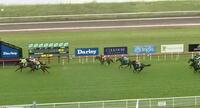 Oakfield Mahogany Impressive on Debut