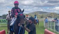 Sterny Bear Wins at Wellington