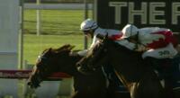 Sonnet Star wins at Newcastle