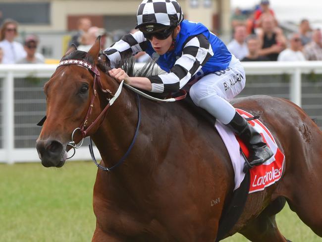 Darren Weir wins first Launceston Cup with Big Duke