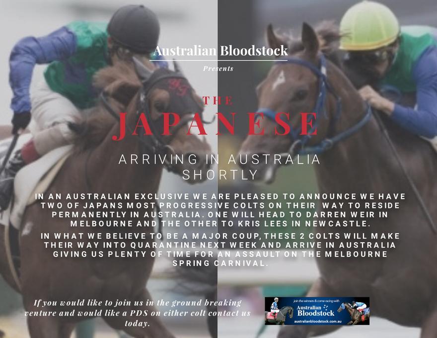Australian Racing EXCLUSIVE
