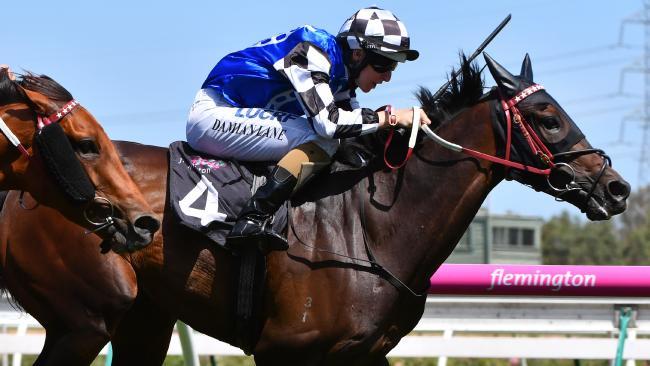 Goldstream victorious in $100,000 Adelaide feature