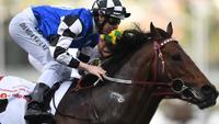 Kris Lees gearing up for Newmarket Handicap assault