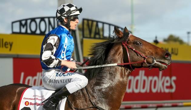Weir wants to Brave Caulfield
