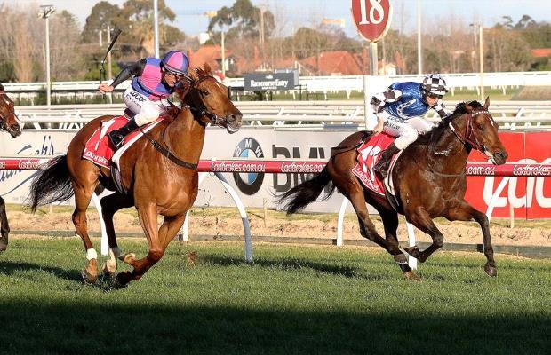 Plenty on the line for Brave Smash at Moonee Valley