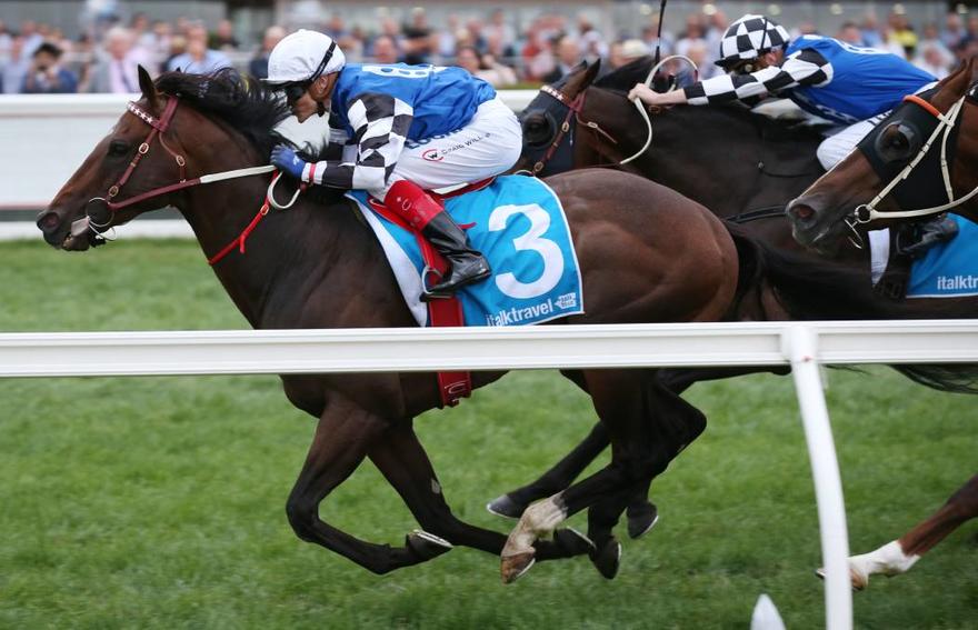 Australian Bloodstock weigh up next target for Brave Smash after Futurity quinella
