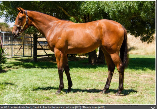 Puissance De Lune X Kandy Korn