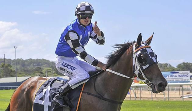 Triple G1 hopes for Australian Bloodstock