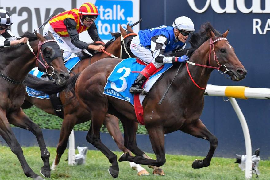 2018 Manikato Stakes - runner-by-runner analysis