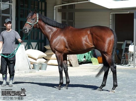 Danon Liberty