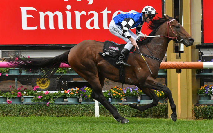 Villiers Stakes: Andrew Gibbons set for group 2 chance with Articus